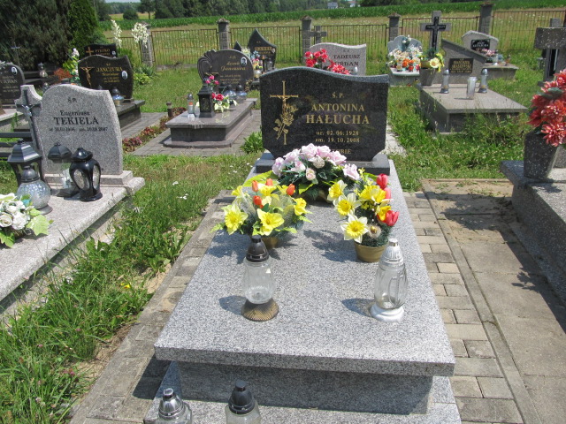 Grób Antonina Hałucha
