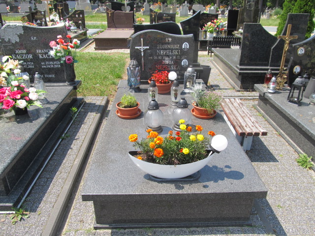 Grób Eugeniusz Nepelski