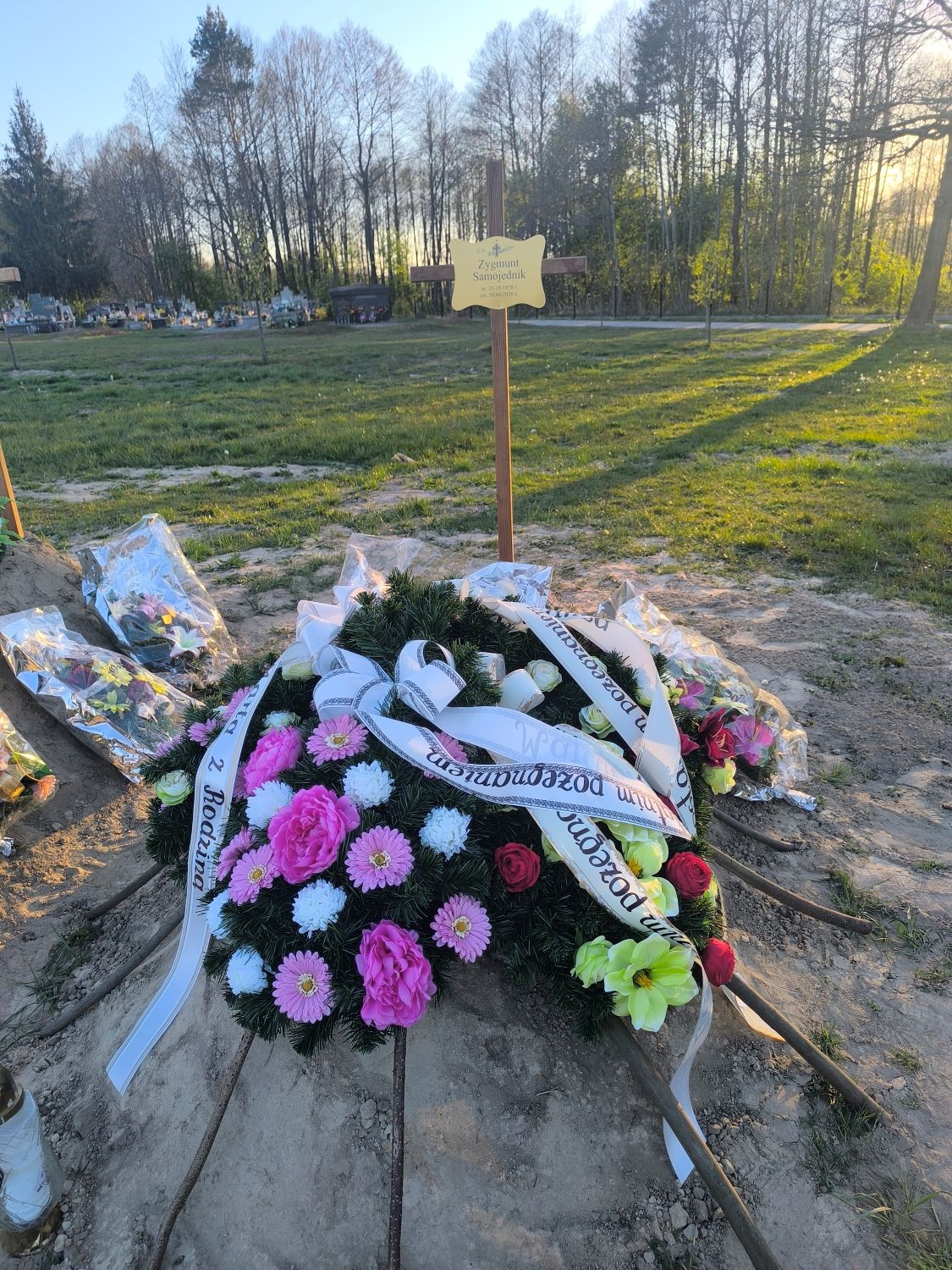 Grób Zygmunt Samojednik