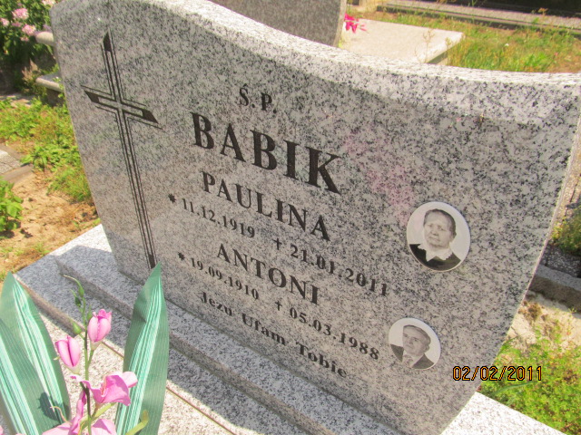 Antoni Babik 1910 Horyniec Zdrój - Grobonet - Wyszukiwarka osób pochowanych